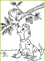 Un petit chiot dalmatien joue avec des oiseaux bien gentils